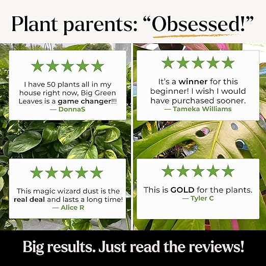 Big Green Leaves Indoor Plant Food – 4X Concentrated Houseplant Fertilizer with Sea Kelp – Makes 90 Gallons – Fast-Acting Mineral Formula, Made in USA (1 lb)