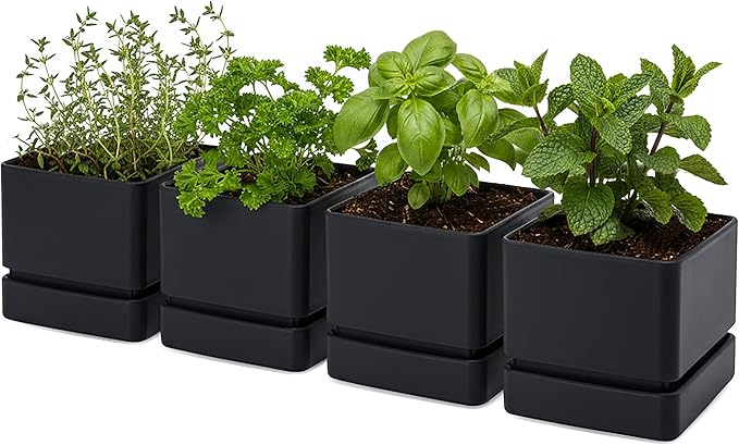 D'vine Dev 6 Inch Herb Planter Pot, Plastic Planter with Drainage Holes and Saucer, Modern Decorative Gardening Pot for Indoor Plants, Flowers, Herbs, Succulents, Black, Set of 4, 76-Y-B4-2