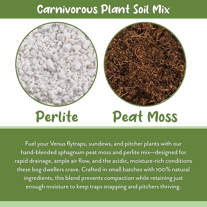 Soil Sunrise Carnivorous Plant Potting Soil Mix (1 Quart) Ideal Additive for Venus Fly Traps, Sundews, and Pitcher Plants