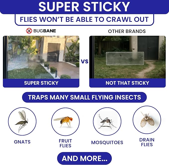 100 Window Fly Traps Sticky Non-Toxic Clear Fly Paper Indoor for Home. No Mess Flies Window Sticky Traps Bug Flies Strips Indoors. Fruit and Housefly Trap Indoor Flypaper Tape Gnat Catcher Killer.