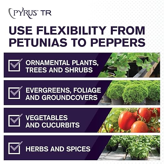 Atticus Pyrus TR Greenhouse Fogger (2oz) - Total Release Pyrethrin Insecticide/Miticide - Controls Mites, Thrips, Aphids, Whiteflies, and Fungus Gnats (Packaging May Vary) (Pack of 3)