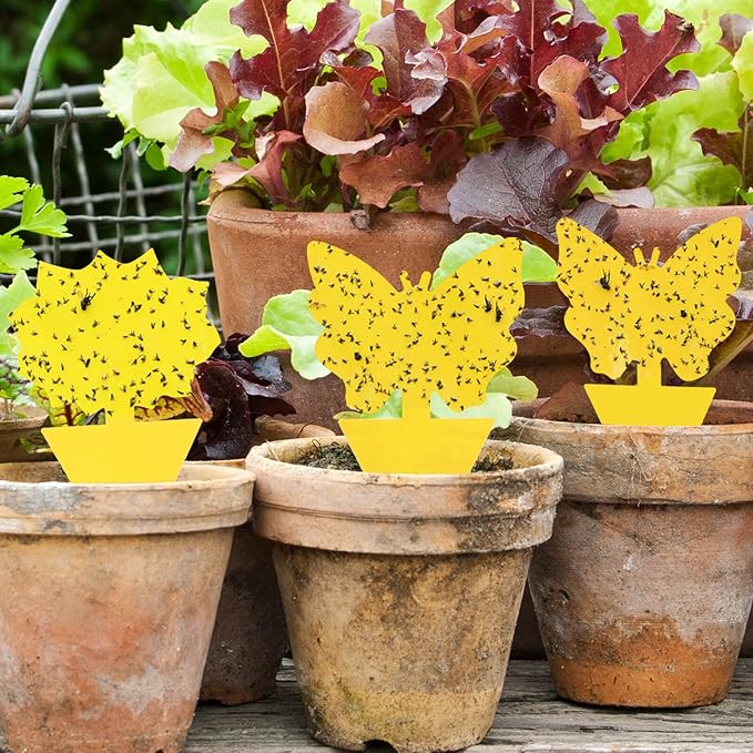 Garsum 36 Pack Fruit Fly Trap Yellow Sticky Fungus Gnat Killer for Indoor and Outdoor Plant Insect Catcher for White Flies,Mosquitos,Fungus Gnats,Flying Insects