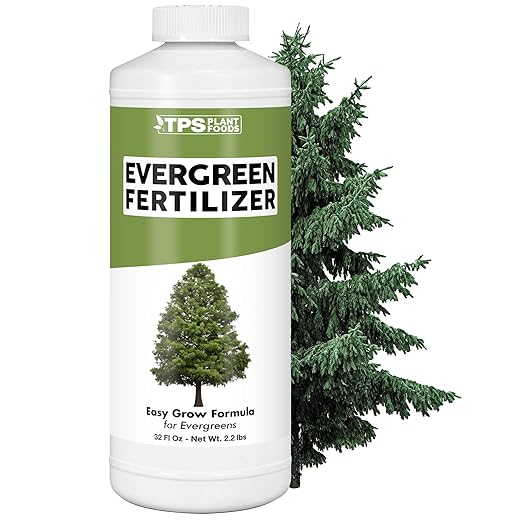 Evergreen Tree Fertilizer – Liquid Plant Food for Rich Green Needles, Stronger Roots & Healthy Year-Round Growth, 32 oz