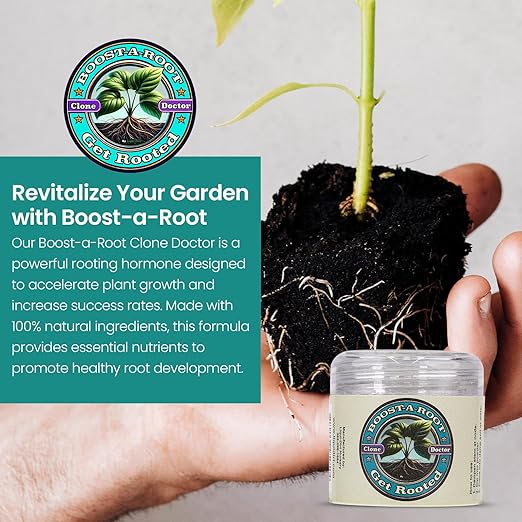 Liqui-Dirt Rooting Hormone Powder - All-Natural Root Stimulator for Faster Root Growth - Plant Starter Nutrients - 1.25 Ounce Tub - Organic & Chemical-Free