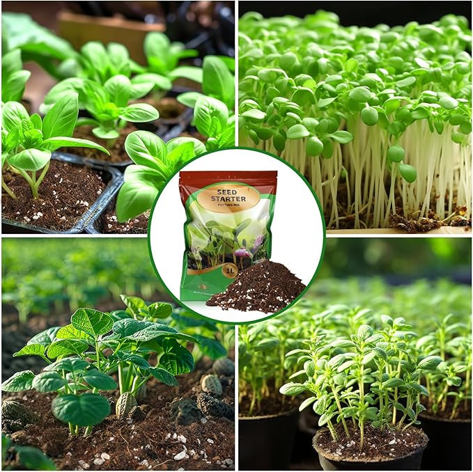 Doter Seed Starter Potting Soil Mix 1qt, Seed Starting Mix for Germination and Growth, Loamy Compost Well-Drainaged Soil Fit for Vegetable, Flower, houseplant