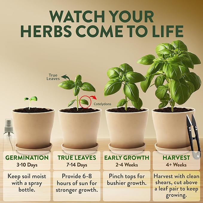 HOME GROWN Gift Herb Kit – 8 Herb Seeds Set with Basil, Cilantro, Mint & More & Herb Garden Planter Indoor Kit – Unique Christmas Gift for Adults, Men, & Women - Grow 4 Heirloom Herb Seeds
