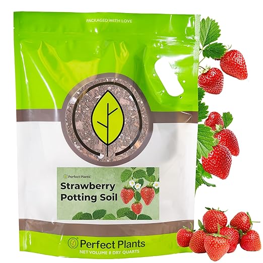 Perfect Plants Organic Strawberry Potting Mix | Organic Premium Mix | Use with Strawberry's, Pineberry's, or Other Fruit Plants (8qt)