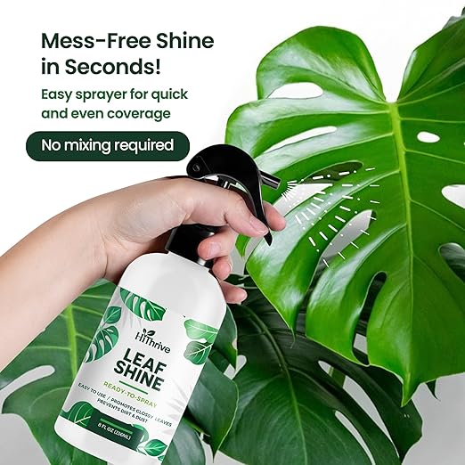 8oz Leaf Shine Spray for Indoor Plants - Plant Leaf Cleaner and Shine for Indoor Houseplants - Makes Leaves Shiny, Vibrant & Healthy