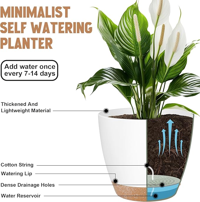 QRRICA Plant Pots 8/7/6.5/6/5.5/5 Inch Self Watering Pots, Set of 6 Plastic Planters with Drainage Holes and Saucers,Plastic Flower Pots,Nursery Planting Pot for Indoor Out Door Plants（White）