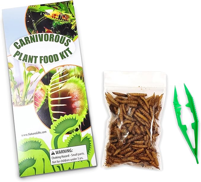 Sundew Carnivorous Plants Live with 2.7" Modern White Hexagonal Ceramic Pot with Saucer + Venus Fly Trap Food, Feeding Tweezers and Carnivorous Plants Soil