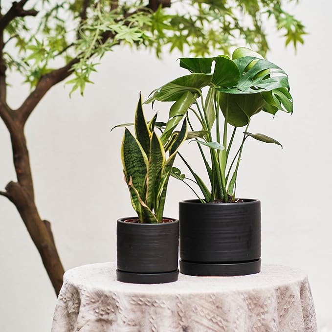HERDUK 6 + 8 Inch Plant Pots, Ceramic Planter Pot with Drainage Hole & Saucer, Indoor/Outdoor Cylinder Round Planter Pot, Matte Black