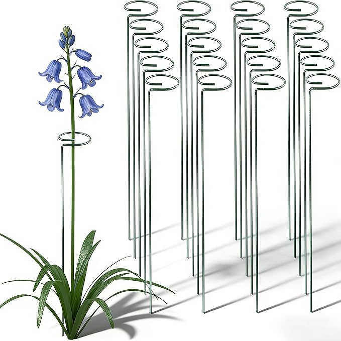 20 Pieces 36 inch Green Single Stem Plant Stakes Flower Support Rings, Gardening Planter Cages for Single Stem Flowers, Amaryllis, Peony, Lily,Narcissus