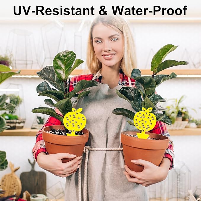 36PCS Fruit Fly Sticky Traps Fungus Gnat Traps Insect Trap for Plants Kitchen Indoor Outdoor White Flies Mosquitos Fungus Gnats Flying Insects Houseplant Gifts (Apple Shape)