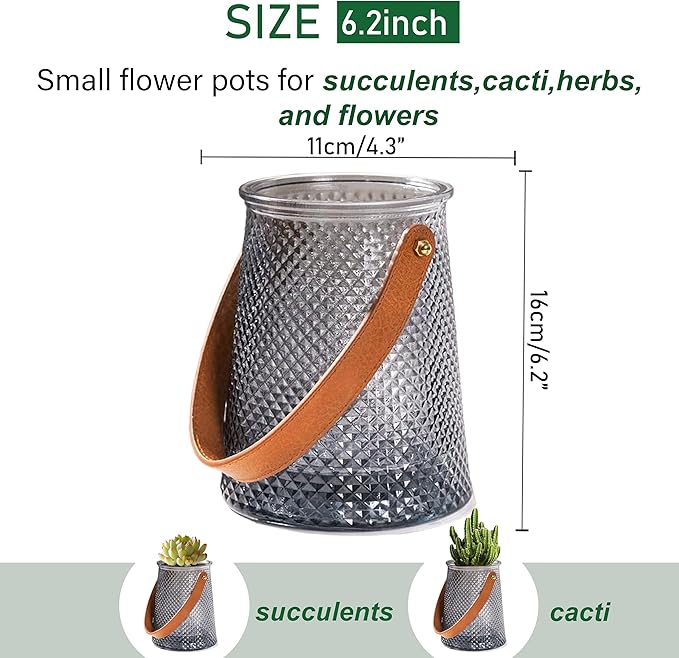 Self Watering Planters 5.9 Inch Self Watering Pots for Indoor Plants, African Violet Pots with Wick Rope, Flowers, Succulents, Herb, House Plants (Gray Color)
