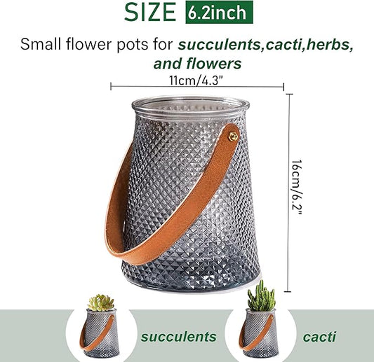 Self Watering Planters 5.9 Inch Self Watering Pots for Indoor Plants, African Violet Pots with Wick Rope, Flowers, Succulents, Herb, House Plants (Gray Color)