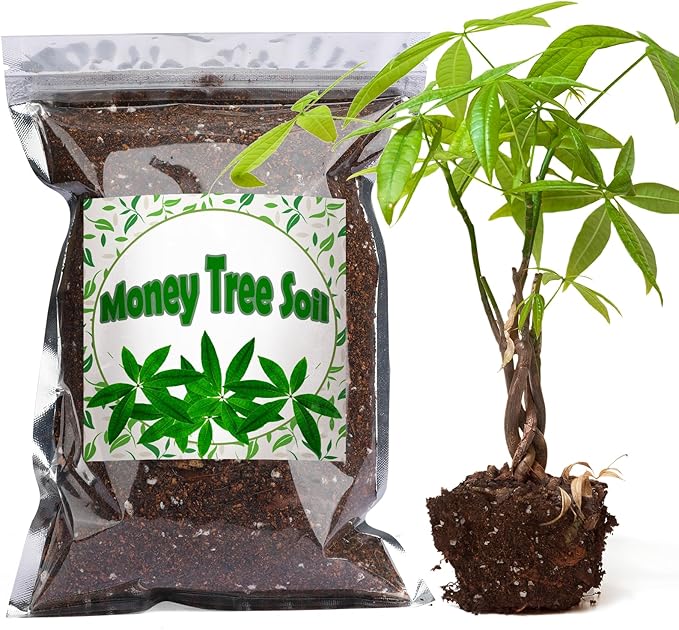 Doter Organic Money Tree Soil Mix 4qt, Indoor Plants Potting Mix for All Potted Money Tree, Grow Healthy houseplants Indoors