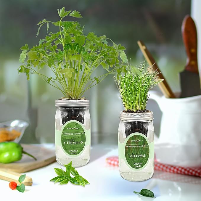 2-Pack Hydroponic Mason Jar Herb Garden Kit, Indoor Herb Garden Self-Watering Starter Kit, New Christmas Gift for Mom (Cilantro,Chives)