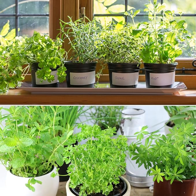 Doter Organic Potting Soil Mix 10qt for All Indoor & Outdoor Small Containers Including Herbs, Vegetables, and Flowers
