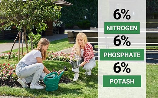 Gardenwise 6-6-6 All-Purpose Professional Plant Food Fertilizer; Ideal for Winter Care & Spring Feeding, Perfect Balanced NPK for Indoor and Outdoor Plants (10 QUARTS)
