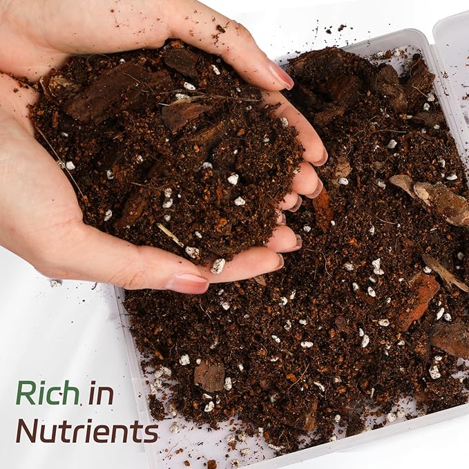Doter Organic Fiddle Leaf Fig Potting Mix 4qt, Indoor Plants Potting Mix for All Potted Ficus Lyrata Plant, Grow Healthy houseplants Indoors