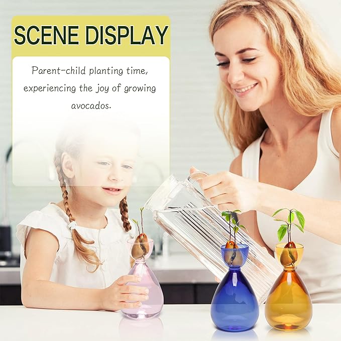 Avocado Vase Avocado Seed Starter Vases Avocado Trees Live Plants Growing kit Glass 2pc