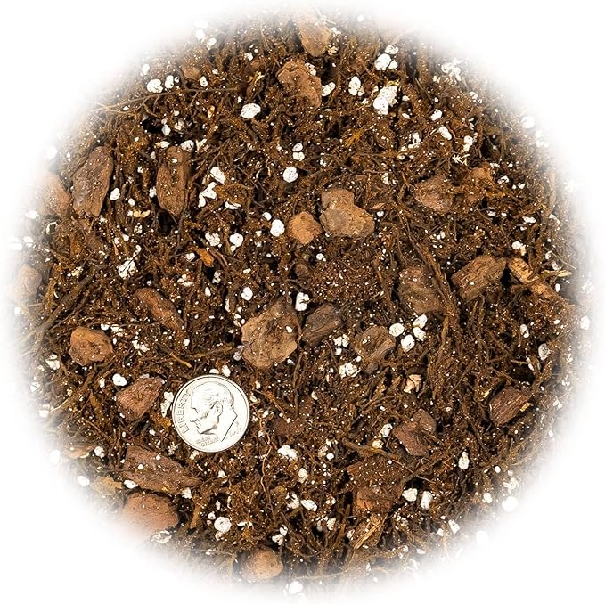 Premium Gardenera House Plant Potting Mix | Fern + New Zealand Bark + Perlite | Great for Pothos, Spider Plants, Montsera, Philodendron, English Ivy - 2 Quart Bag