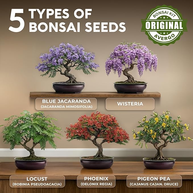 Bonsai Tree Kit for Beginners – 5X Unique Japanese Bonzai Trees, Complete Indoor Bonsai Starter Kit for Growing Bonsai Plants w/Tools & Planters – DIY Christmas Gardening Gifts for Mom