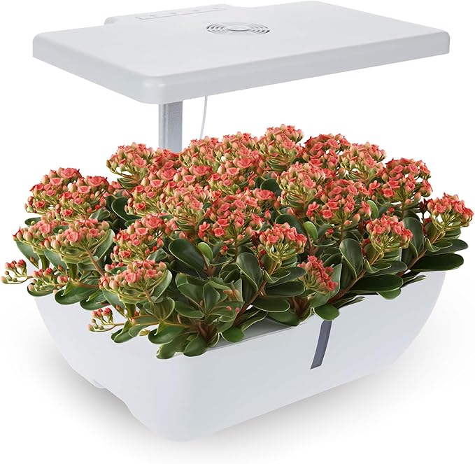 Smart 12 Pod Herb Garden Planter Indoor Kit for Growing Basil, Mint, Thyme & More - Self Watering Indoor Garden Hydroponics Growing System w/ Health Tracker - Low Maintenance Home Gardening Gifts