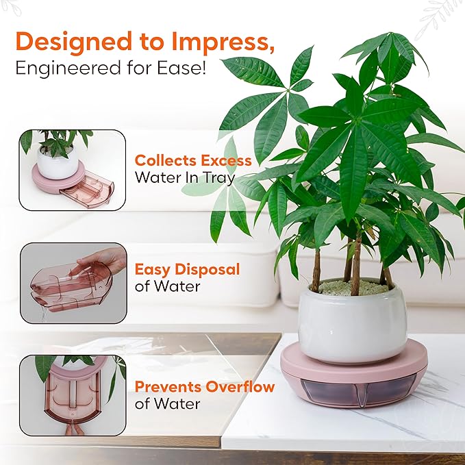 Smart Plants Saucer (Sakura)| Create a Healthy Root Environment | Easy Care for Indoor Plants Base Plant Care | 7.9inch | Water Capacity: 350m L |