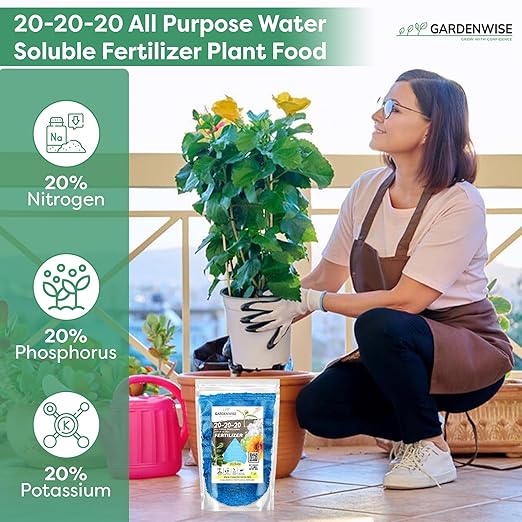 Gardenwise 20-20-20 Water-Soluble Fertilizer – Powder for Liquid Plant Food for Indoor & Outdoor Plants, Orchids, Vegetables, Lawns, Flowers – 20 20 20 Fertilizer (20 QUARTS)