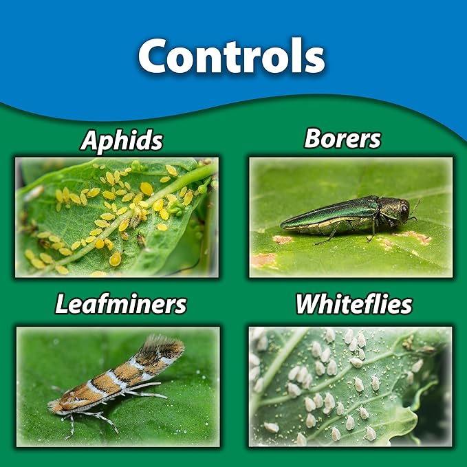 Monterey Once A Year Insect Control II Bundled with Measuring Spoon - Systemic Insecticide Absorbed Through Roots Into Plant - 1 Quart