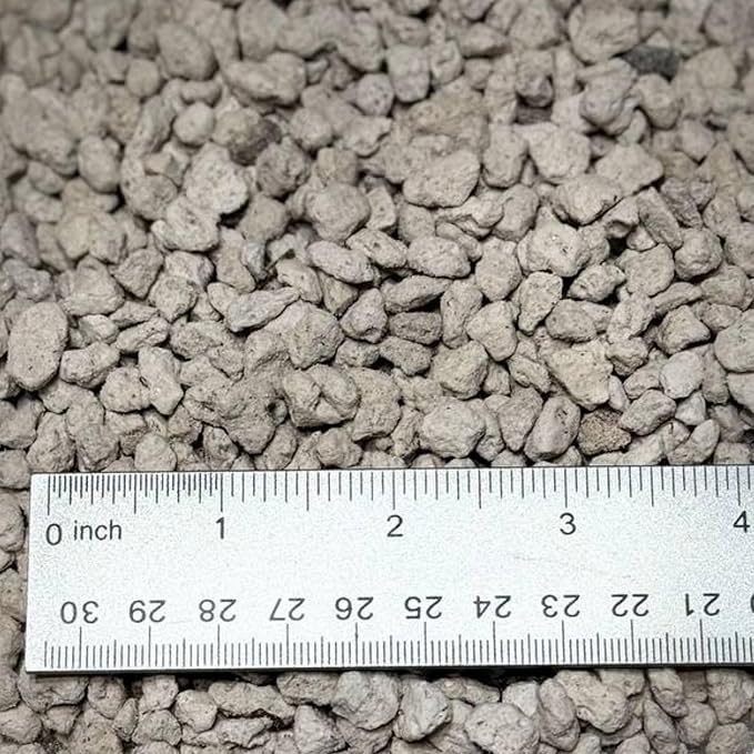 GARDENWISE Horticultural Pumice for Plants, Natural Pumice Stone Soil Amendment, 3/8-1/4 inch, Made in USA (20 quarts - 18 lbs)