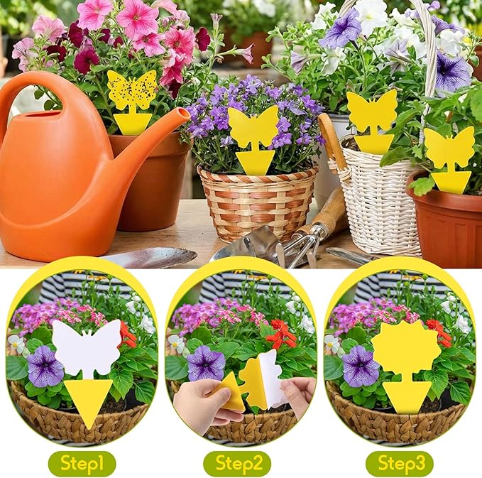 60 Pack Fruit Fly Traps Fungus Gnat Sticky Traps Yellow Black Green Plant Fly Stickers Double Side with Shovel for Indoor Outdoor Kitchen Garden Houseplant Flying Bug Insect (Mixed Style)