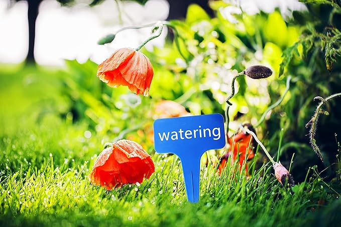 DaTpuik Blue Thick Plant Garden Labels, Plastic T-Type Nursery Markers Tags(100 Pcs)