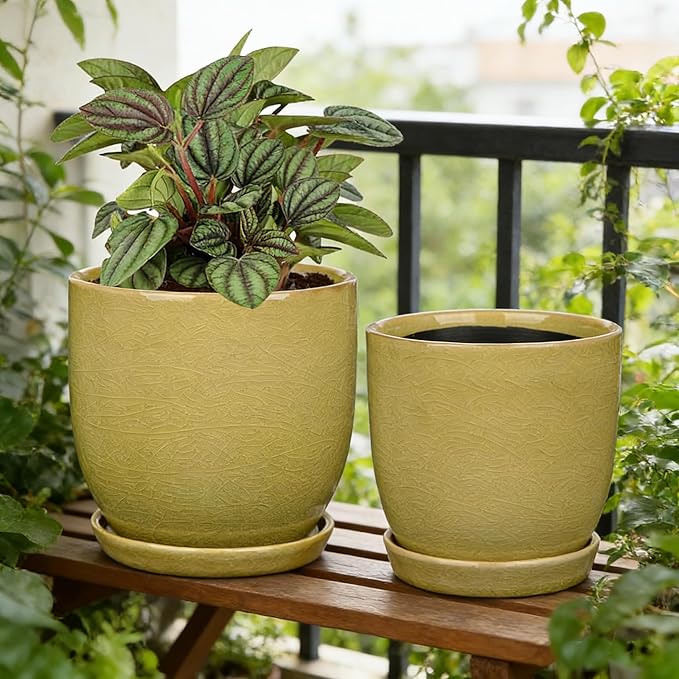 GnFlus Ceramic Plant Pots 5 Inch + 4 Inch Set of 2, Flower Plants Pot with Drainage Holes and Saucers Tray Planter Garden Pot for Succulent Cactus Home Decoration Gift Indoor Outdoor Green