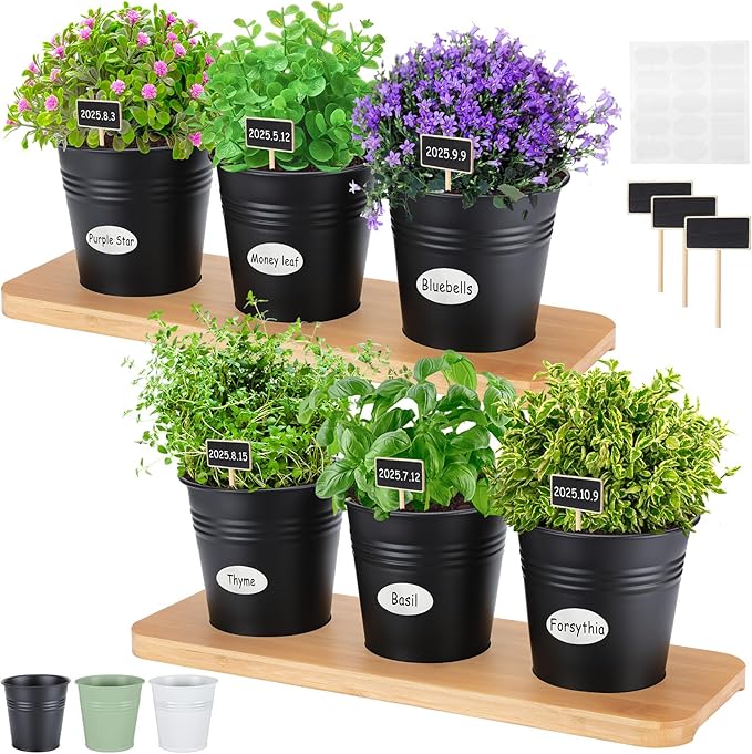 LemonRoad 6 Pcs Indoor Herb Planter Window Herb Pots for Kitchen with Drainage Hole and Bamboo Tray Farmhouse Metal Garden Planter Pot with DIY Label Mom Plant Gift(Black,Round)