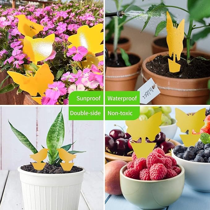 LFSYS 64 Pcs Sticky Traps for gnat, Yellow Sticky Fruit Fly Traps for Indoors Plants, Indoor Safe for Gnat, Fruit Fly, White Fly, Aphid, Leaf Miner