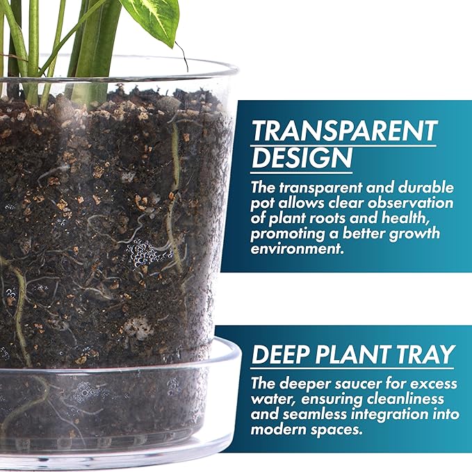Phoenix Vine 10 Inch Clear Acrylic Planter Pot with Tray, Orchid Pot with Drainage Holes, Deep Saucer for Bottom Watering, Transparent Containers for Indoor Plants, Herbs, Set of 1, 91-A-H-1