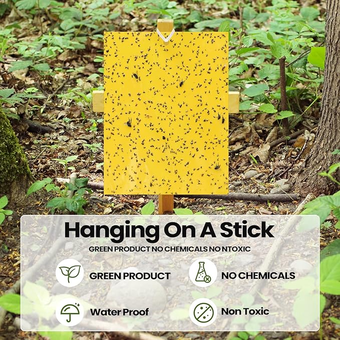 Qualirey 250 Pcs 6 x 8 Inch Sticky Traps for Gnats Dual Sided Fruit Fly Sticky Traps for Indoor and Outdoor Plant with Twist Ties and Plastic Holders for Flying Plant Insect, Fungus Gnats (Yellow)