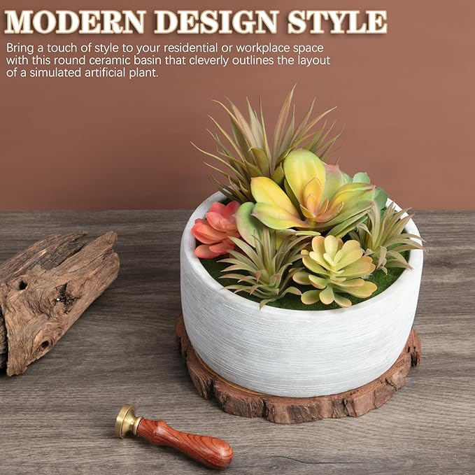 6 Inch Artificial Succulent Plants in Pots,Realistic Fake Succulents with Gray Ceramic Pot for Home Office Desk Bathroom Coffee Table Decor