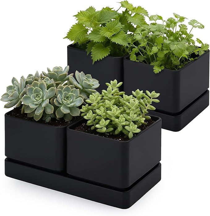 D'vine Dev Indoor Herb Garden Planter Set, Plastic Windowsill Plant Pots with Drainage and Saucer, Indoor Succulent Cactus Vegetable Pot for Balcony, Office, Garden, Black, Set of 2, 76-Q-B-2