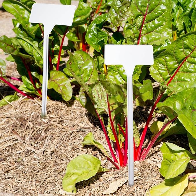 DaTpuik White 30 Pack Outdoor Tall Plant Label, Large Waterproof Plastic Plant T-Type Tags, Durable Nursery Garden Markers, Perfect for Herbs, Flowers, Vegetable with Marking Pen (Height 11.8'')