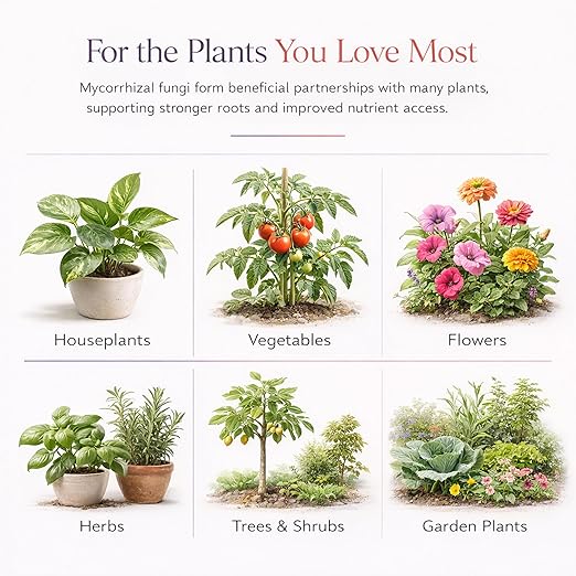 Plant Boss Mycorrhizal Fungi Root Booster – Premium Mycorrhizae for Houseplants, Flowers & Garden Plants – Improves Root Growth, Nutrient Uptake & Plant Health – 4 oz