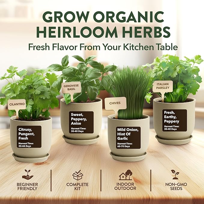 HOME GROWN Indoor Organic Herb Garden Kit – Unique Christmas Gift for Adults, Men, & Women - Grow 4 Herb Seeds & Herb Garden Planter Indoor Kit – Unique Christmas Gift for Adults, Men, & Women