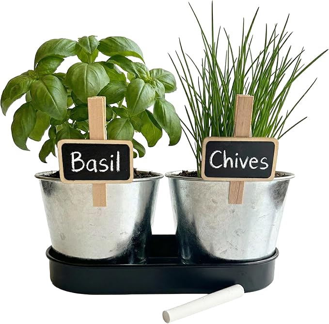 BUZZY Seeds Kitchen Herb Garden Kit with 2-Pot Metal Planters with Plant Markers, Organic Basil and Chive Seeds, Coconut Husk Growing Medium, Indoor Countertop Gardening Gift
