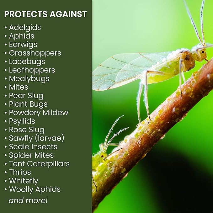 NATRIA Insecticidal Soap, Ready-to-Use Garden Bug Treatment, Insect Killer for Indoor and Outdoor Plants, 24 Ounce (Pack of 2)
