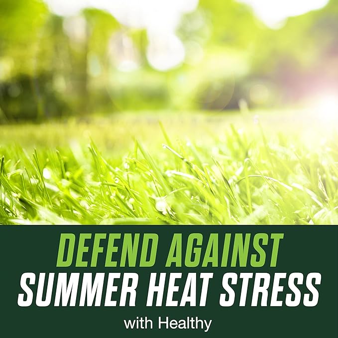 Scotts Turf Builder Healthy Plus Lawn Food, 2-in-1 Fungicide and Fertilizer, Helps Grass Withstand Summer Stress, 8,000 sq. ft., 27.40 lbs.