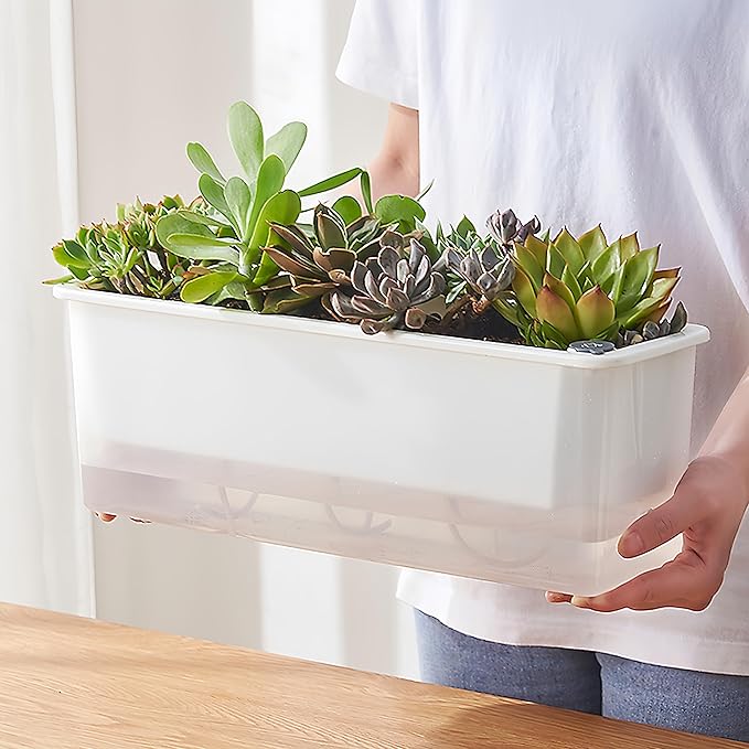 FAMZ Self Watering Pots for Indoor Plants 3 Pack Transparent Rectangular Planter, Vegetable Planters for Windowsill Patio Garden Balcony Home Porch Yard Indoor Outdoor, White