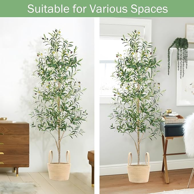Caxchiling Faux Olive Tree 6FT, Artificial Potted Tree with Planter, Silk Plants Indoor Outdoor, Lifelike Olive Plants with Natural Wood Trunk, Fruits and Buds, Home Office Decor, 1 Pack