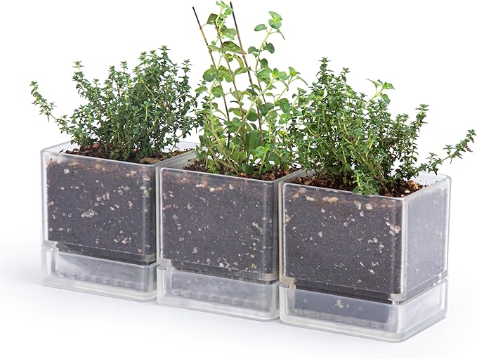 D'vine Dev 4 Inch Herb Planter Pots, Acrylic Planter with Drainage Holes and Saucer, Modern Decorative Gardening Pot for Indoor Plants, Herbs, Succulents, Clear, Set of 3, 76-Y-D-3